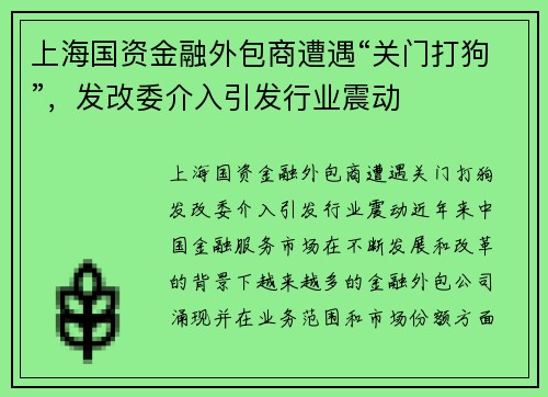 上海国资金融外包商遭遇“关门打狗”，发改委介入引发行业震动