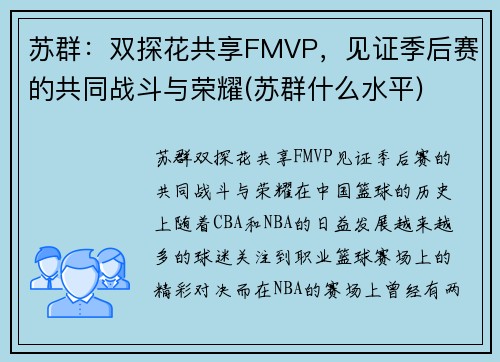 苏群：双探花共享FMVP，见证季后赛的共同战斗与荣耀(苏群什么水平)