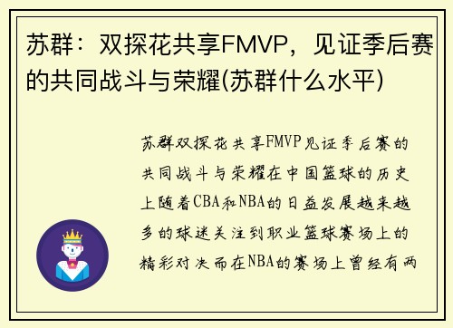 苏群：双探花共享FMVP，见证季后赛的共同战斗与荣耀(苏群什么水平)